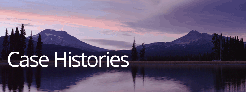 bankruptcy case histories